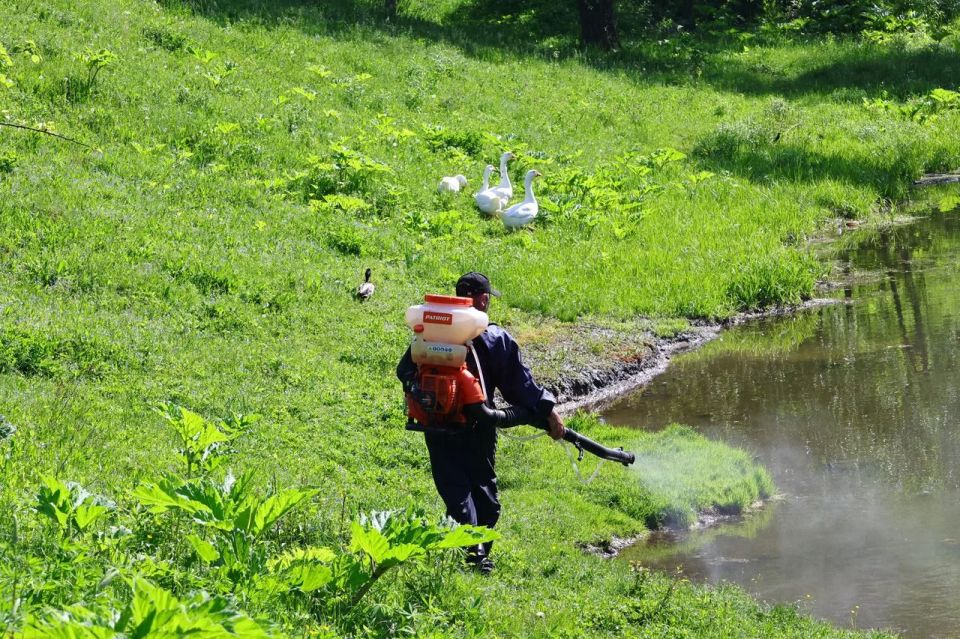 В Рязани проводят обработку водоемов от личинок комаров В Рязани проводят обработку водоемов от личинок комаров
