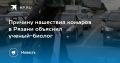 Причину нашествия комаров в Рязани объяснил ученый-биолог
