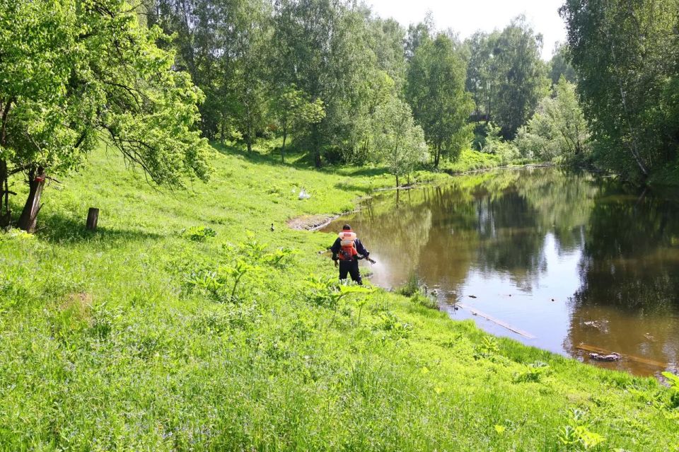 В Рязани проводят обработку водоемов от личинок комаров В Рязани проводят обработку водоемов от личинок комаров