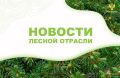 AmurMedia: В Хабаровский край дополнительно направят 30 десантников-пожарных федрезерва