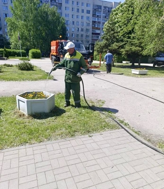 Городские службы поливают цветники и газоны на фоне жары Городские службы поливают цветники и газоны на фоне жары