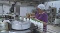 Сегодня - Всемирный день молока