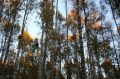 Павел Малков: В Рязанской области продолжается пожароопасный сезон