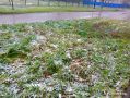 Первый снег в станице: свежие впечатления и уют у камина