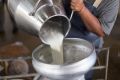 Тайны молока: как коровы дают больше при меньшем поголовье