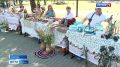Как в Рязанской области сохраняют старинные традиции и создают новые шедевры
