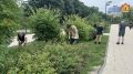 � ������ ������ ������� ��� ��������� � ���������� ���������� ������� ��������
