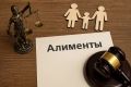 Жительница областного центра осуждена за невыплату алиментов на содержание несовершеннолетних детей
