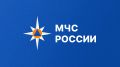 За период с 13 по 19 июля 2026 года на территории Рязанской области ликвидировали 21 пожар: