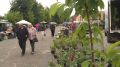 В Рязани продолжаются ярмарки выходного дня