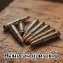 Житель Сасовского округа осужден за незаконное приобретение и хранение патронов