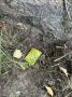 В Рязани лишена гражданства Российской Федерации уроженка Латинской Америки, осужденная за сбыт наркотиков