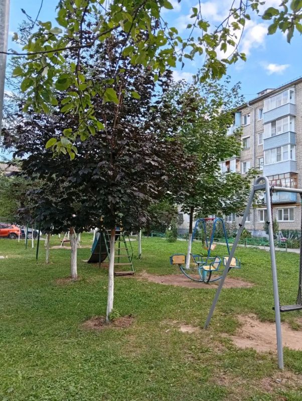 Продолжается работа конкурсной комиссии городского конкурса «Лучший ТОС, двор, подъезд» Продолжается работа конкурсной комиссии городского конкурса «Лучший ТОС, двор, подъезд»