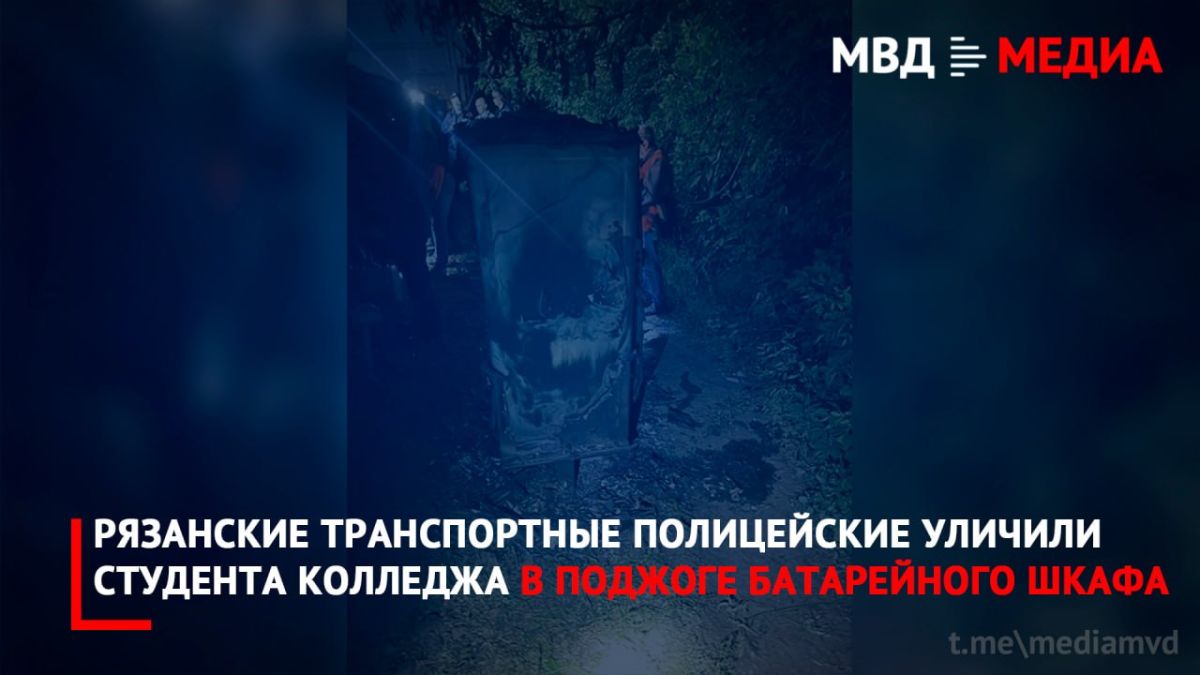 Рязанские транспортные полицейские уличили студента колледжа в поджоге батарейного шкафа