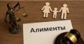 Жительница Рязанской области осуждена к 8 месяцам исправительных работ за неуплату алиментов в размере более 1,6 млн рублей