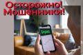 Пытаясь заработать на инвестиционной бирже жительница Путятина потеряла 1,6 млн рублей