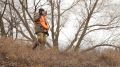 � ��������� ������� ��������� ����� ���� �����