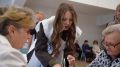 Волонтёры на выборах в Рязани