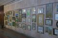 «Как прекрасен этот мир»: В областном центре открылась художественная выставка