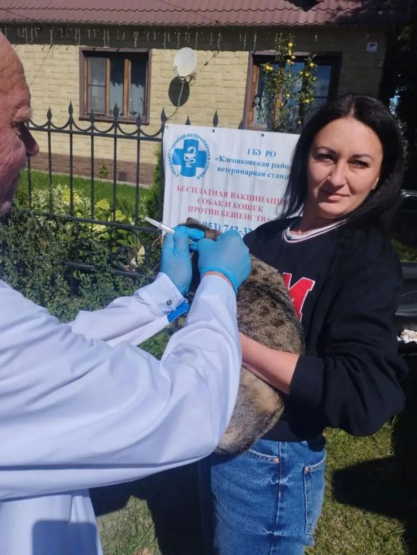 Всемирный день борьбы против бешенства: вместе защищаем здоровье людей и животных! Всемирный день борьбы против бешенства: вместе защищаем здоровье людей и животных!