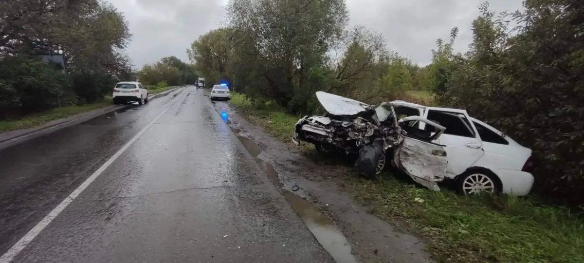 Сводка ДТП. . За прошедшие сутки сотрудниками Госавтоинспекции Рязанской области зарегистрировано 4 дорожно-транспортных происшествия, в результате которых 2 человека погибли и 6 человек получили травмы