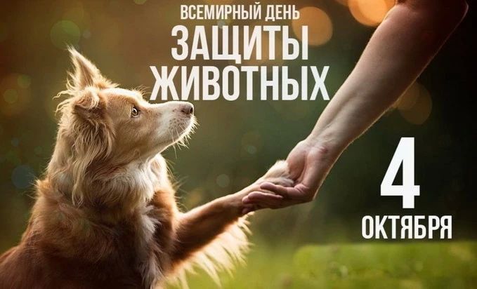 4 октября отмечают Всемирный день защиты животных!