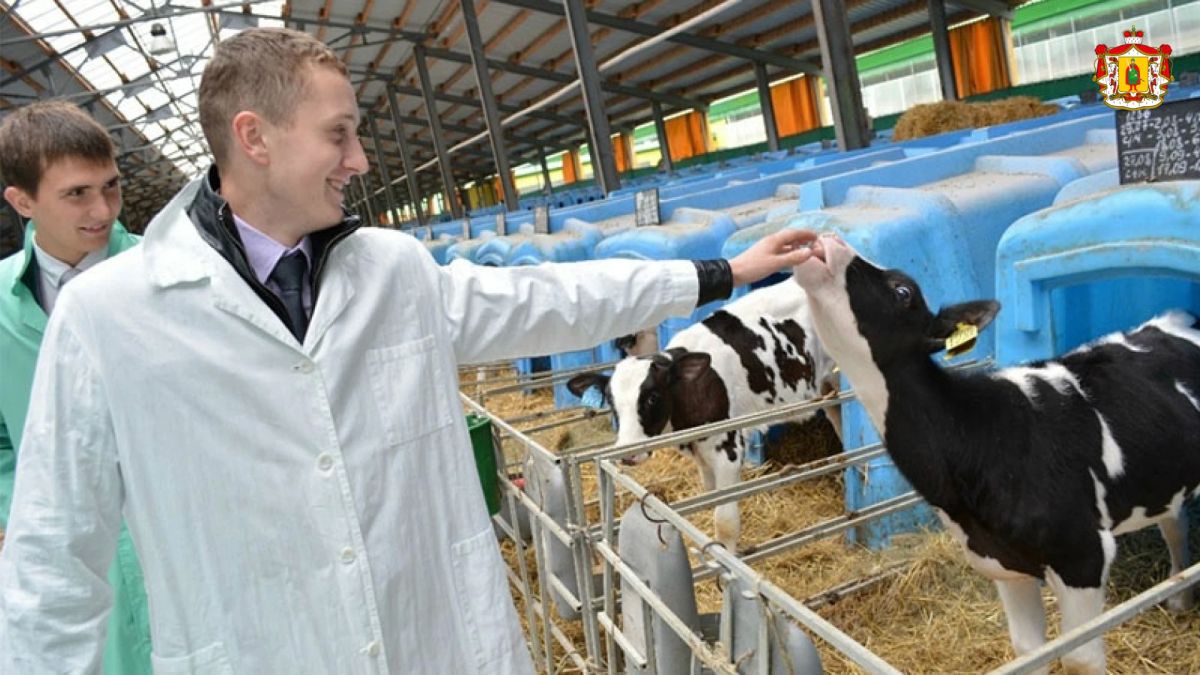 Обновлены базы вакансий в агропромышленном комплексе региона