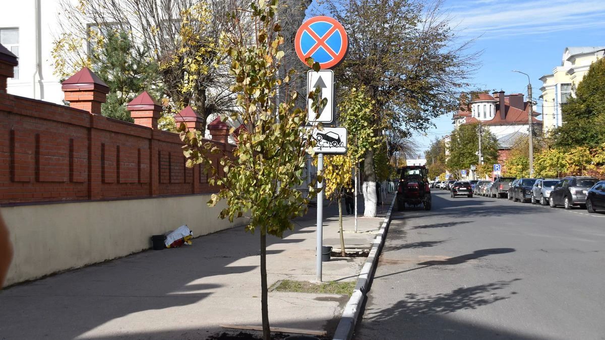 Губернатор Павел Малков высадил деревья на двух улицах Рязани Губернатор Павел Малков высадил деревья на двух улицах Рязани