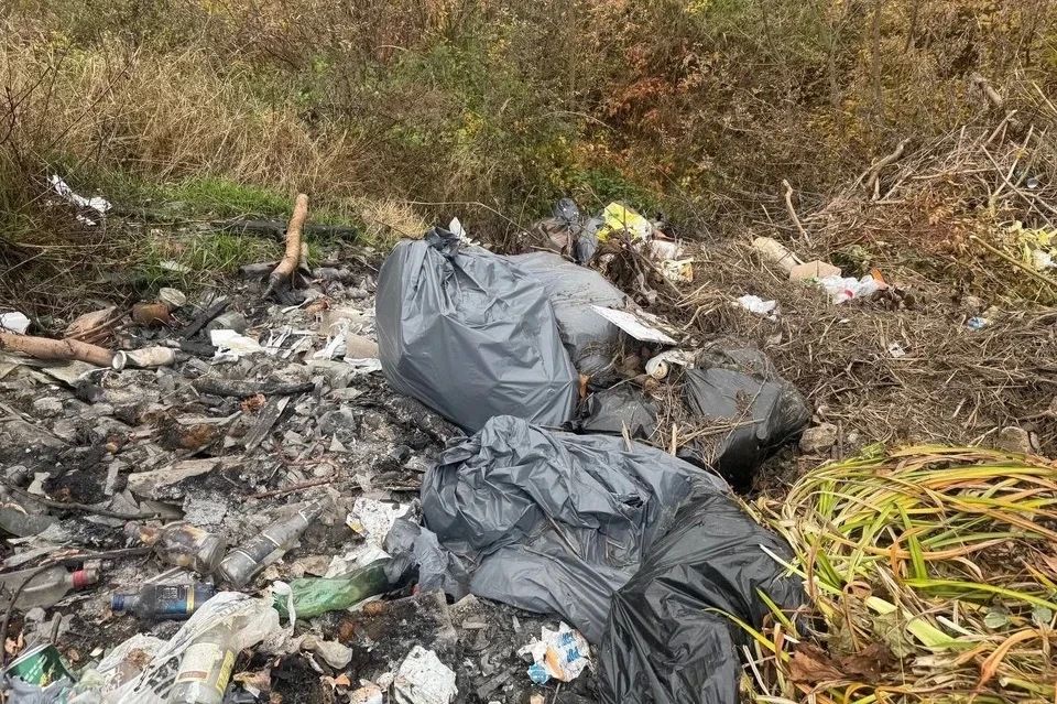 Большая уборка мусора на Тропе белого аиста Большая уборка мусора на Тропе белого аиста