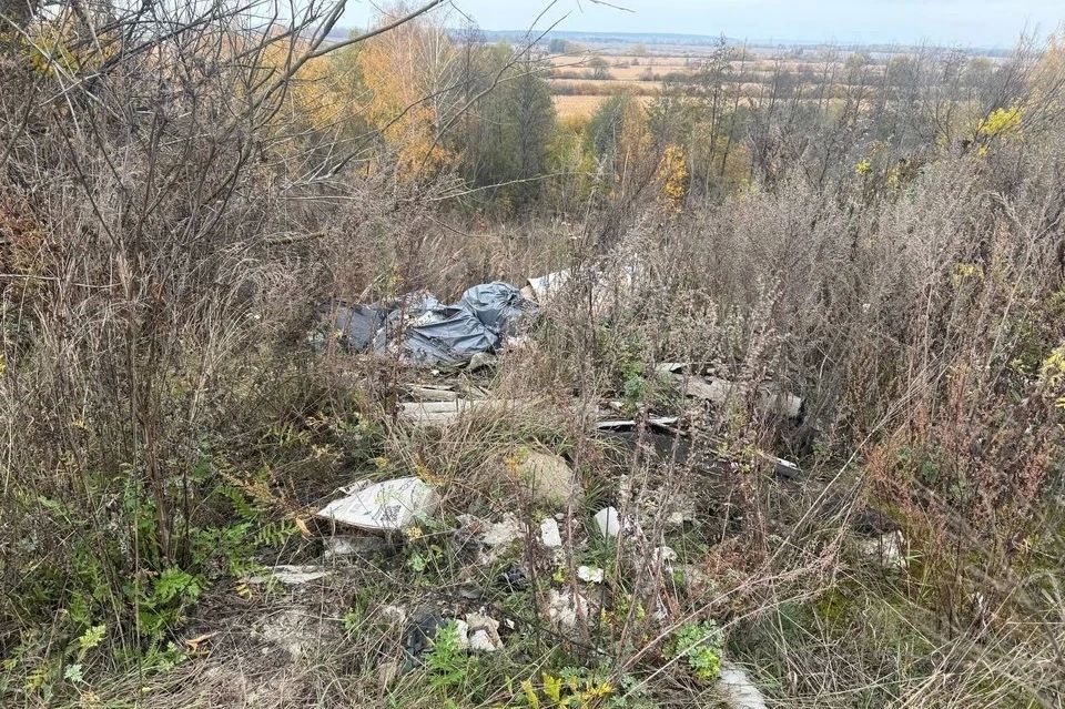 Большая уборка мусора на Тропе белого аиста Большая уборка мусора на Тропе белого аиста
