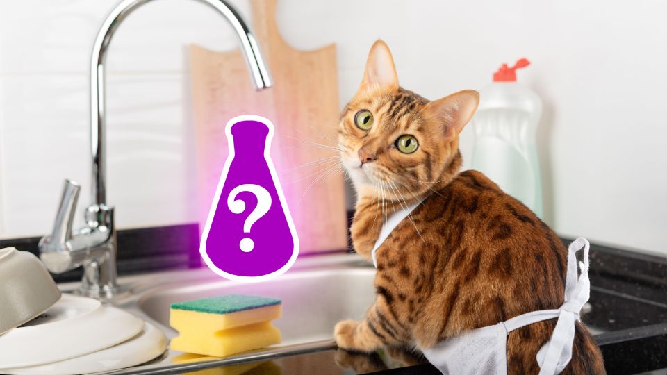 Кран засверкает как после покупки: каменный налет отпадет мигом с этим раствором