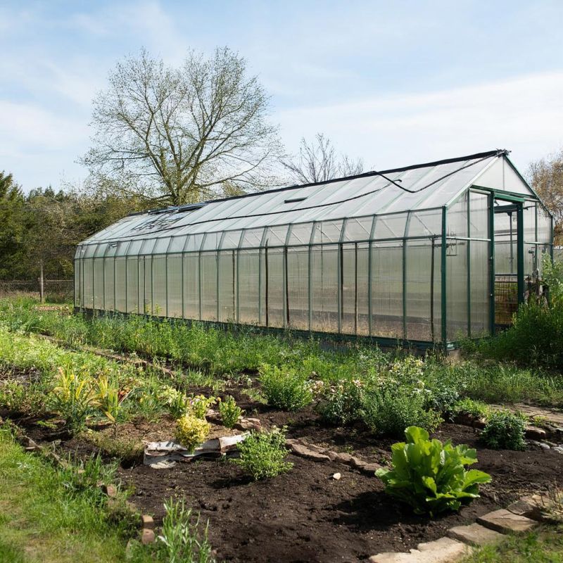 Как вернуть жизнь в усталую почву теплицы: секреты восстановления плодородия