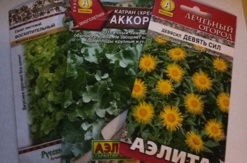 Как запустить собственный зеленый уголок: зимний посев лекарственных и травяных растений