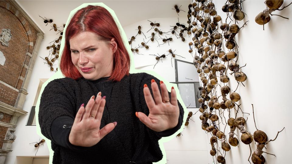 Муравьи больше не сунутся в дом с этим безопасным средством: работает безотказно