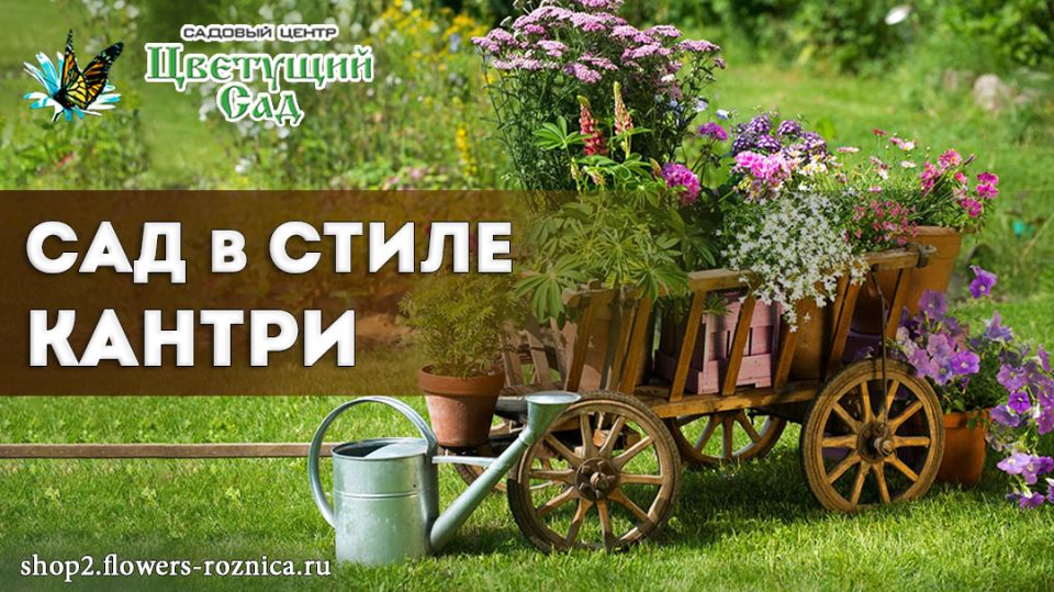 Очарование кантри-сада: Как создать уютное пространство на своем участке