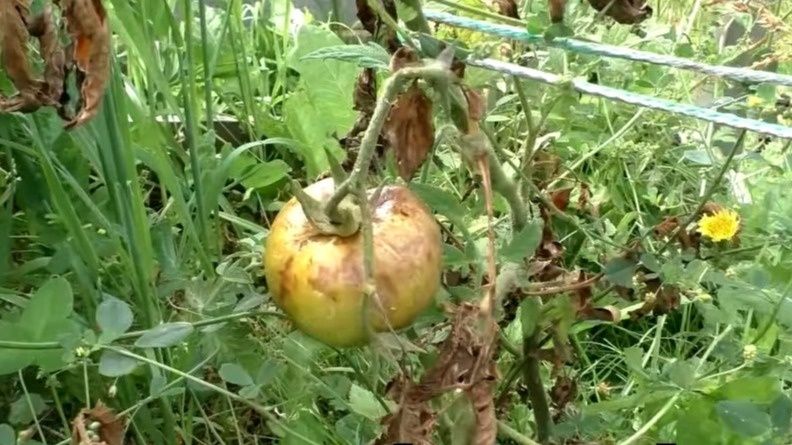 ��� ������� ��������� �������� �������� ��������� �� �������