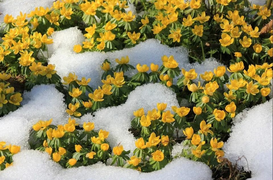 �������� ������: ��� �������� ���������� ��-��� ����� � ������ ����