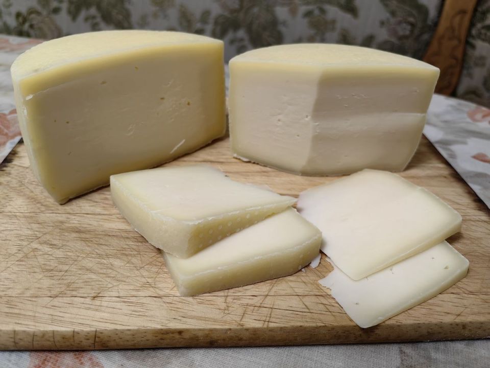 Вдохновение сыродела: Качотта — первые впечатления от домашнего сыра