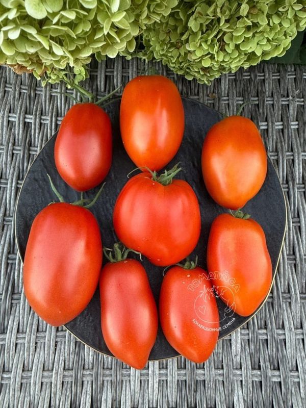 ������ �� ����: ������� ������ ����� ���������� ����