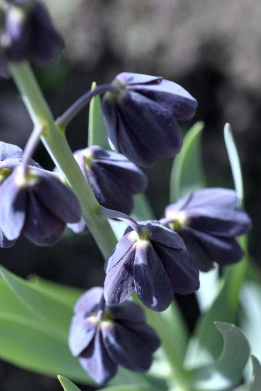 ���������� ������: � ������� ��������� � ����������� ������