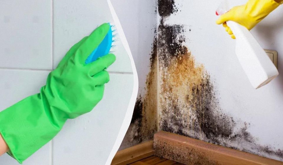 ��� �������� ������ �������: ������� ������ ��� ������ ��������