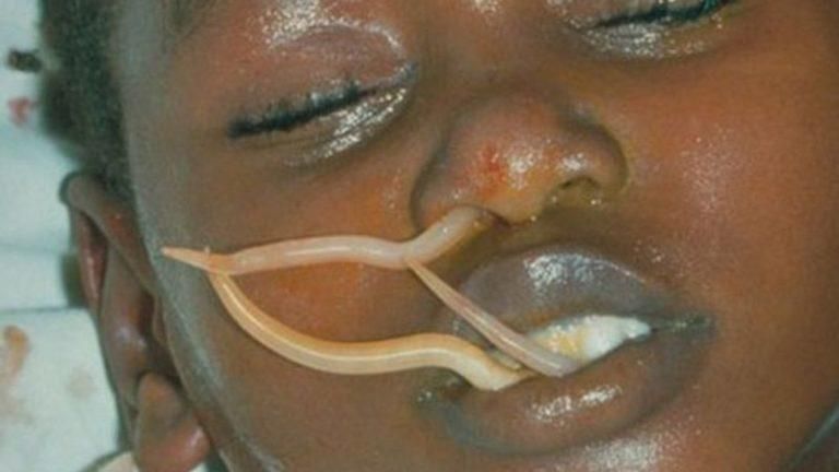 ������ �� �����: ������, ������� ������ ������������