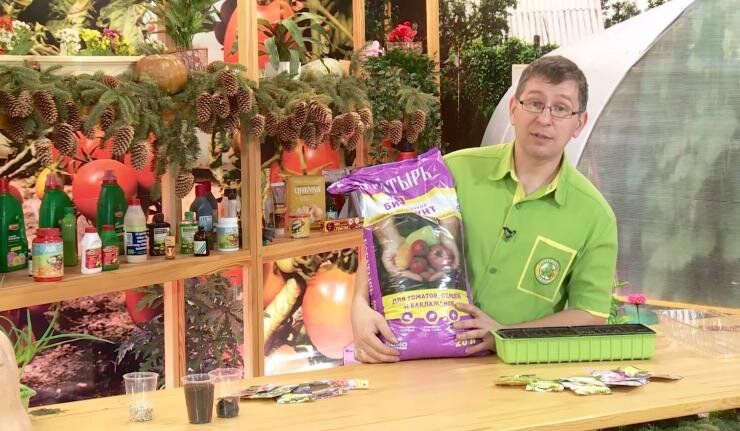 ������� ��������� ������ �����: ��� ������� ��������� ����� � �������