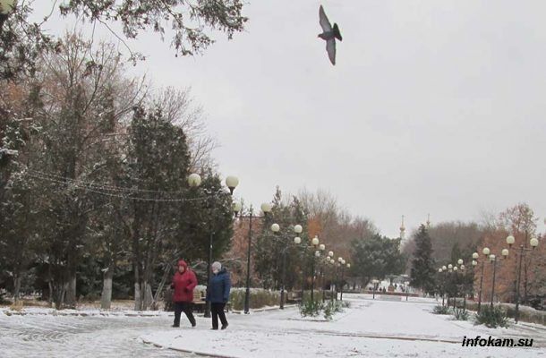 ���������� ����� � 2026 ����: ��� �������� � ��� ��� ����