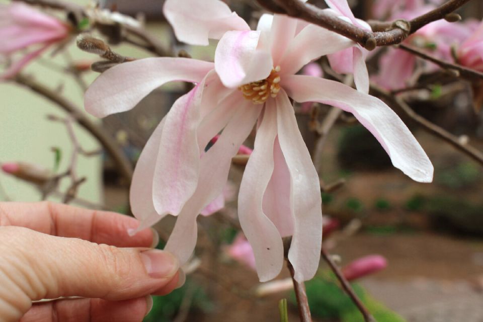 �������� �� ������-������: ������� �� ����� �����