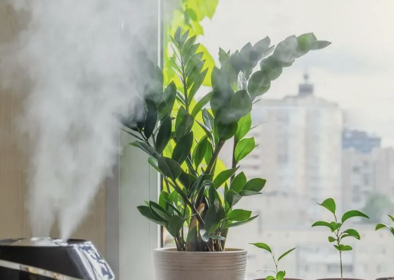 ��� ��������� ��������� �������� � �������� ������ �������: 7 ������� �������