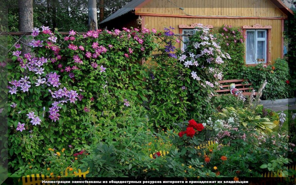 ������� ���������� �������� ����������