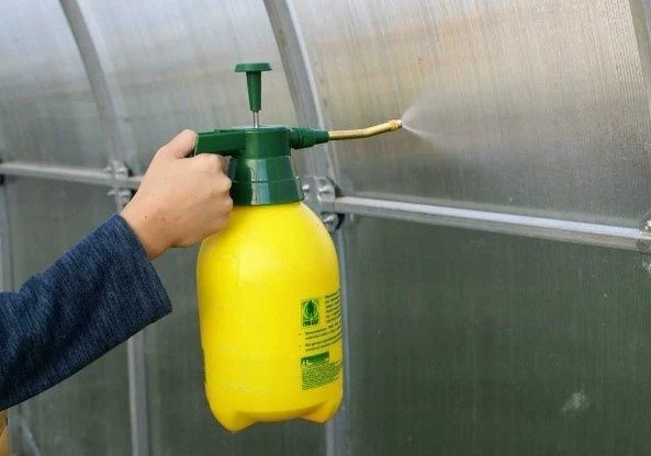 ����������� ������ � �������: ������� ������� ��� ��������� ������