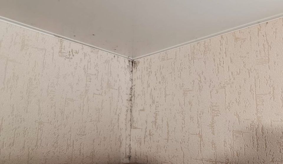 ������� � ��������: ��� � ��� ���������� � ������������� ��������� ���������?