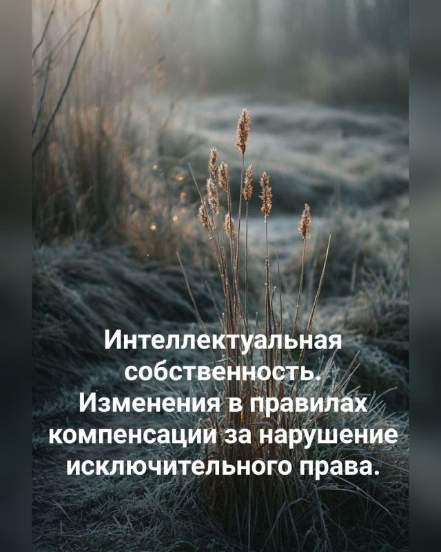 Новые правила компенсации за нарушение исключительных прав в России